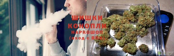 трава Новый Уренгой