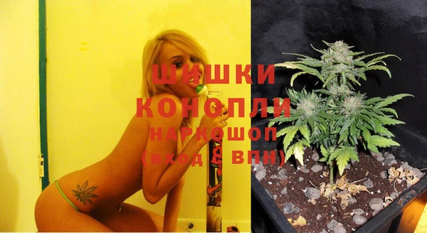 скорость Ладушкин