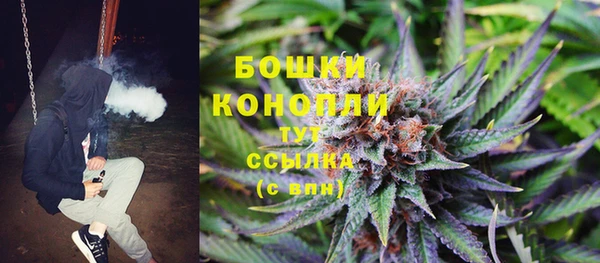 сатива Лиски