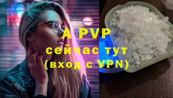 скорость Ладушкин
