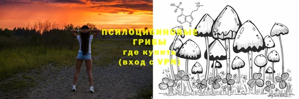 крисы Лабытнанги